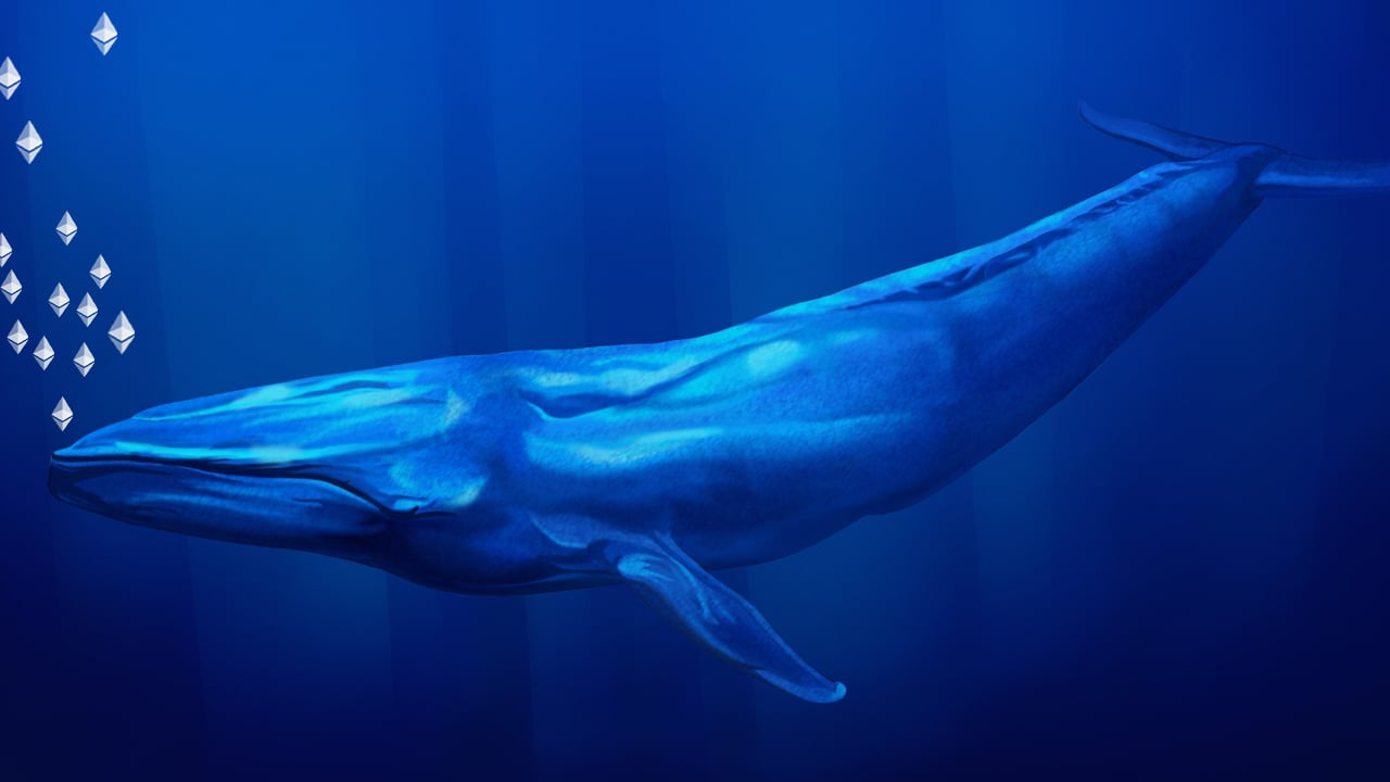 Išleidę 276 mln. USD eteriui – milžiniškas „Ethereum“ banginis, kuris dalyvavo „Genesis ICO“, pervedė 145 000 ETH