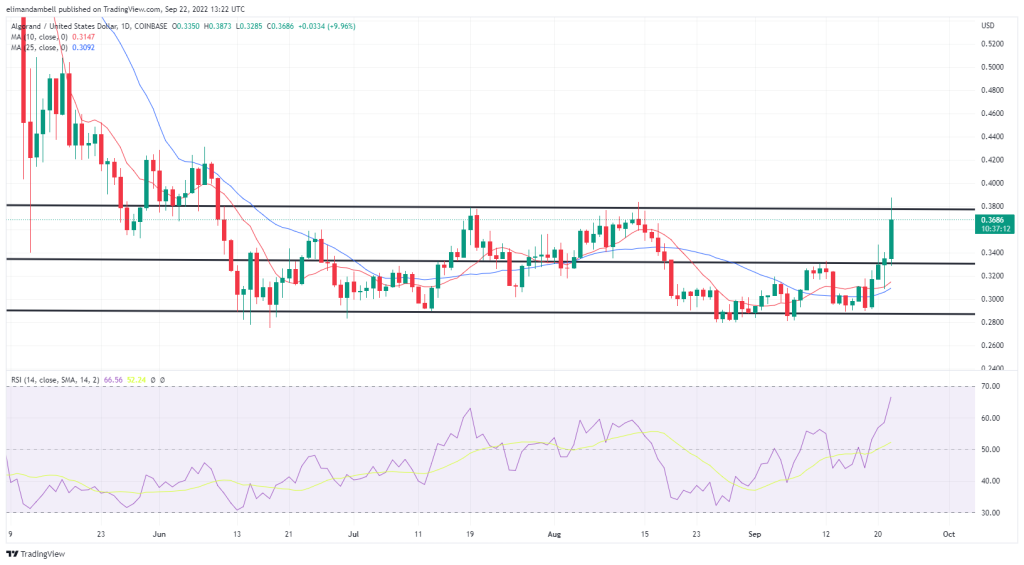 Эң чоң кыймылдаткычтар: XRP 4 айлык жогорку көрсөткүчкө жетти, ALGO бейшемби күнү 17% га өстү