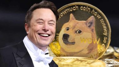 Elon Musk's $258 Billion Dogecoin Lawsuit Grows as New Defendants, DOGE Investors Join