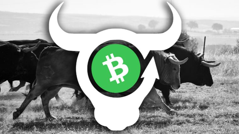Decentralized App BCH Bull Prepares for Launch, Platform Allows Users to Long or Hedge Bitcoin Cash Against a Myriad of Tradeable Assets