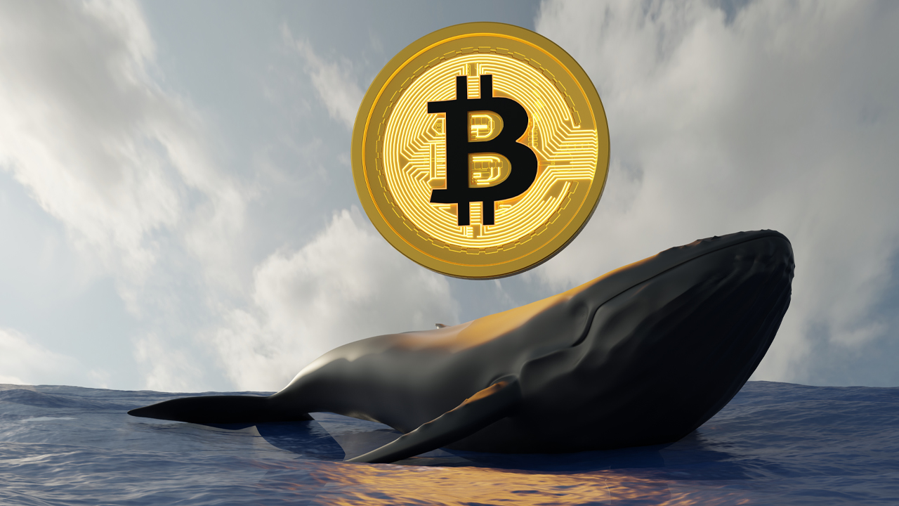 BTC Whale Transfers 0 Million Out of Coinbase — 3 Batches of 'Sleeping Bitcoins' From 2011 Move – Bitcoin News