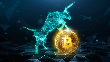 Investment Strategist Discusses Bitcoin 'Entering Unstoppable Maturation Stage' — Says Price Should Continue to Rise