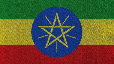 Ethiopia Orders Banks to Reject Requests for Foreign Exchange to Buy 'Non-Priority Products'