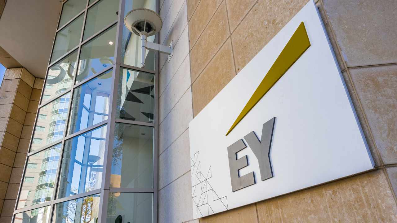 Crypto Winter doesn't have a big impact on long-term industry growth, says EY executive