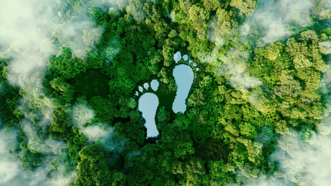 PEGA Pool to Launch in 2023 to Help You Offset Your Carbon Footprint While Crypto Mining – Sponsored Bitcoin News