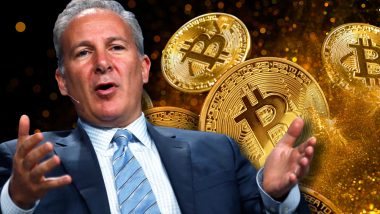 Gold Bug Peter Schiff Insists This Is 'Not a Crypto Winter,' Economist Says It's More Like ‘Crypto Extinction’