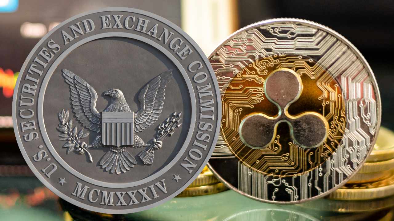 SEC lawsuit over XRP grows support for Ripple – CEO says 'this is unprecedented'