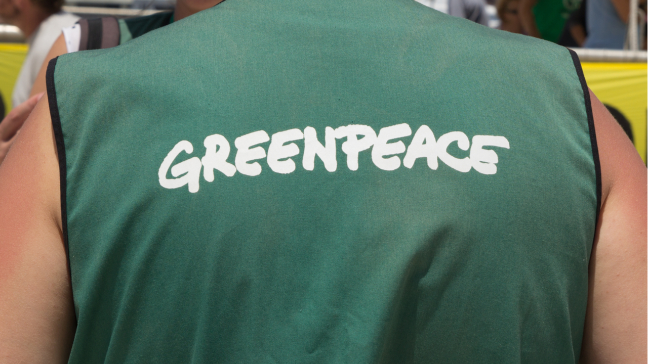 Greenpeace: Bitcoin Is 'Falling Behind' in the Battle Against Climate Change – News Bitcoin News