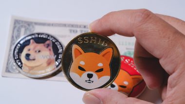 Meme Coin Economy Heals After the FTX Fiasco Swelling by $1.4 Billion in 30 Days