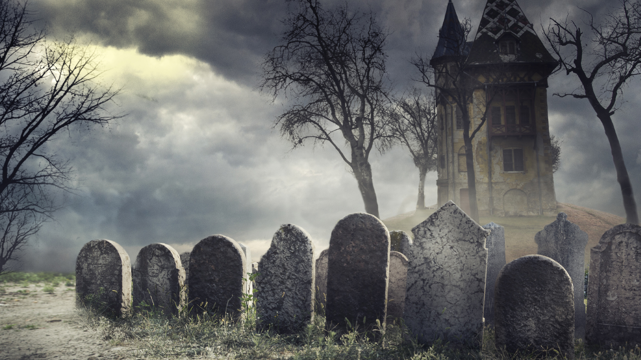 Crypto Supporters Sift Through the Graveyard of Technical Indicators That Failed to Predict Bitcoin’s Bottom – Bitcoin News