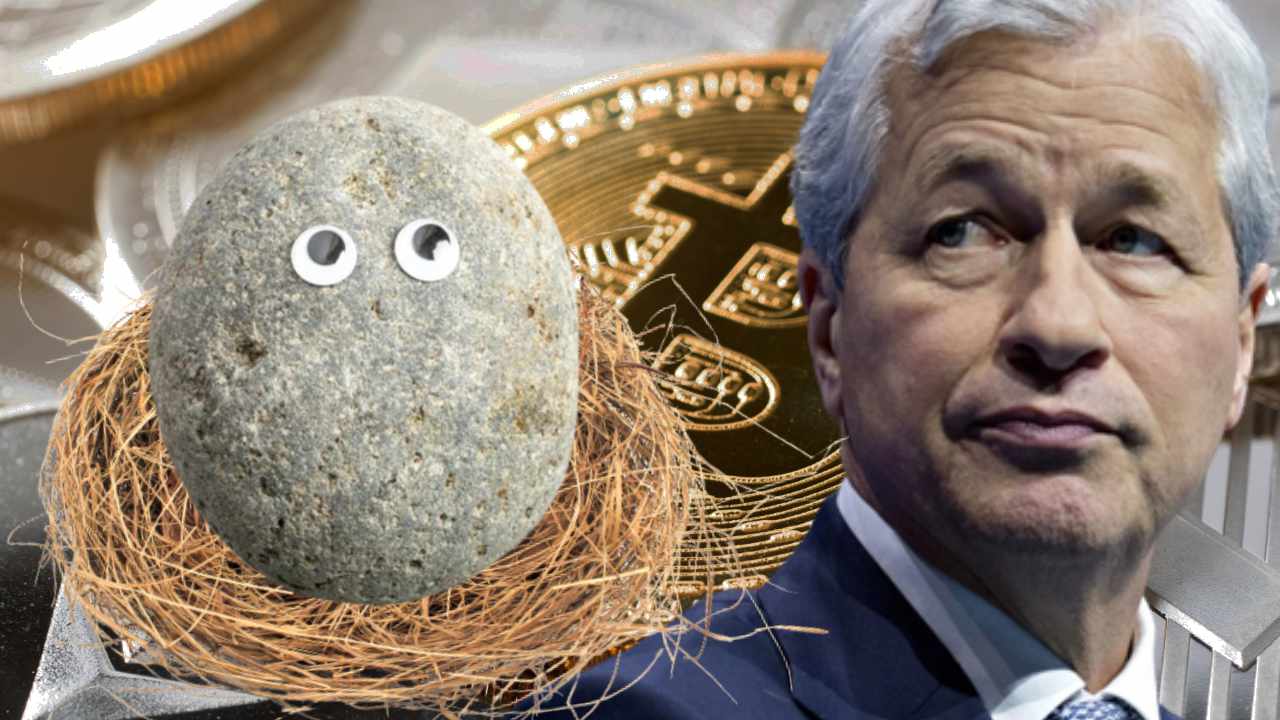 El CEO de JPMorgan Chase, Jamie Dimon, compara las criptomonedas con Pet Rocks: pide más regulación