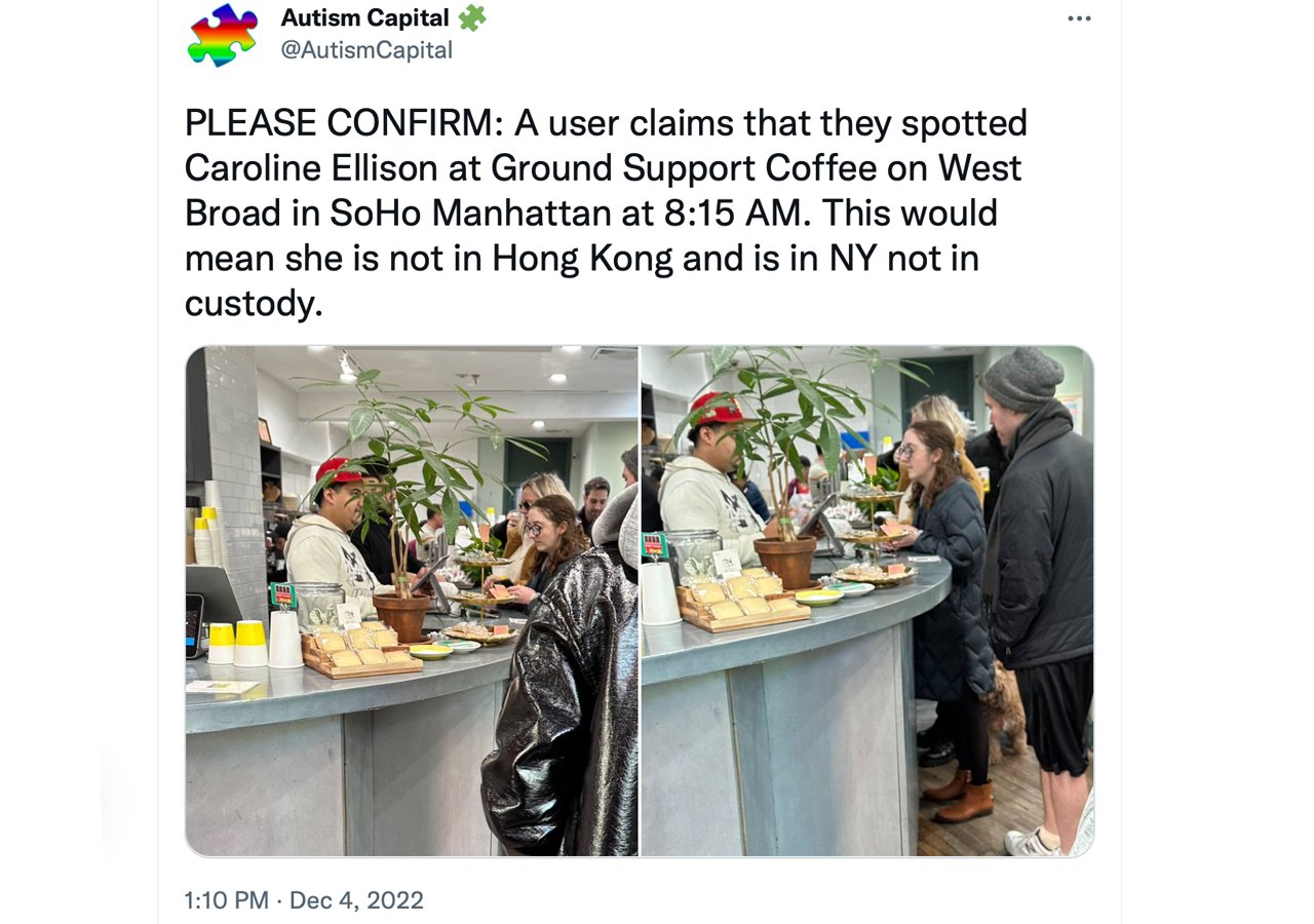 Alameda Research CEO Caroline Ellison was reportedly spotted with FTX Dog 'Gopher' at a coffee shop in Manhattan