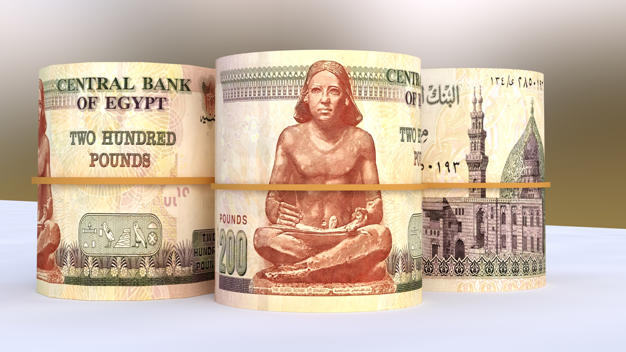 La Livre gyptienne Atteint Un Nouveau Plus Bas Face Au Dollar 