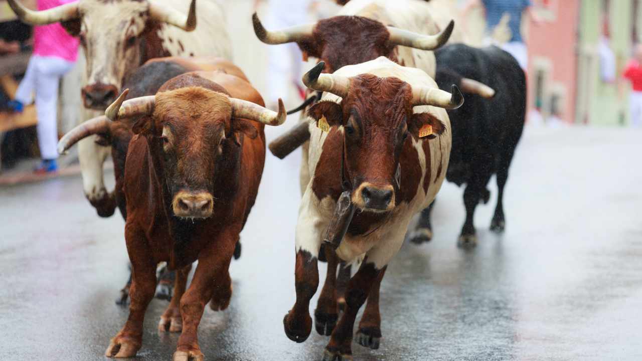 Crypto Bull Run Selanjutnya Akan Dimulai Di Timur, Kata Co-Founder Gemini