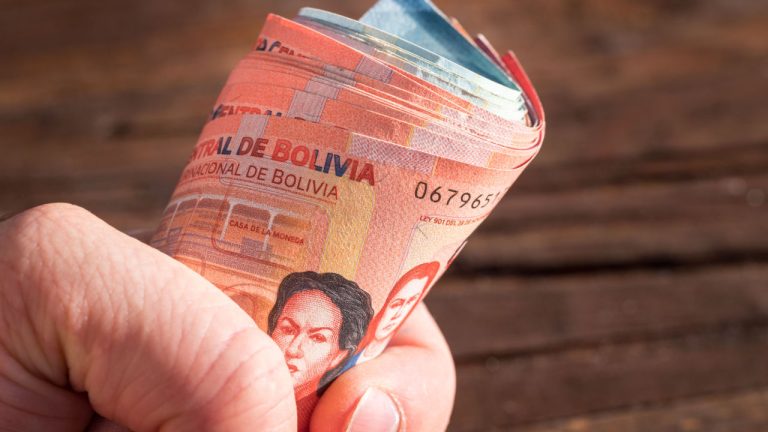 Central Bank of Bolivia Selling Dollars Directly to Citizens as Devaluation Fears Rise