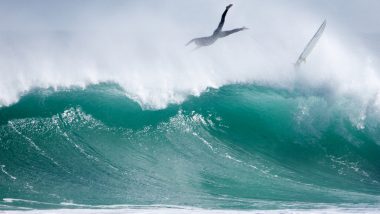 Bitcoin's Price Drop Causes Over $200 Million in Long Liquidations Across Crypto Derivative Exchanges