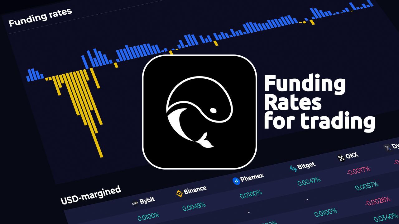 Whaleportal Helps Unravel Market Sentiment And Predict Price Movements