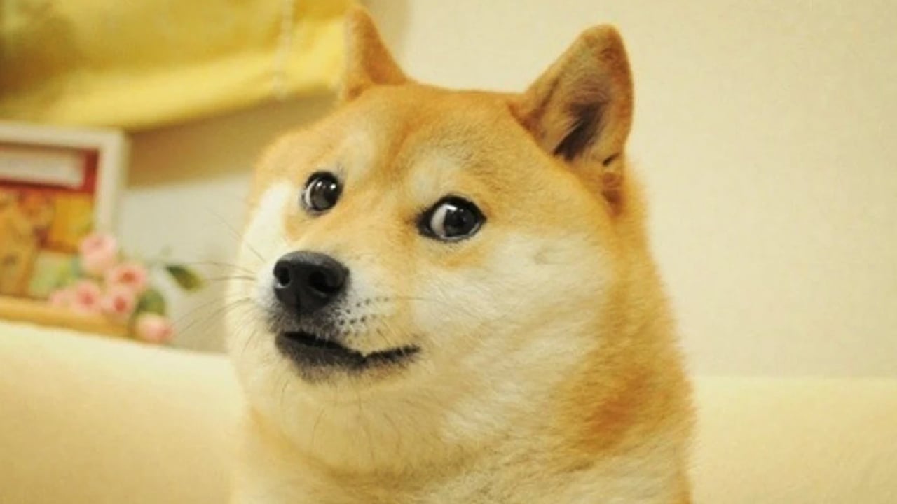 Twitter Changes Bird Logo to Picture of Doge, Dogecoin Price Surges 20% After the Change