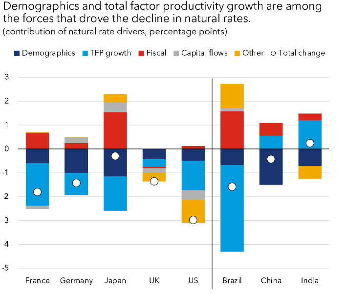 imf blog