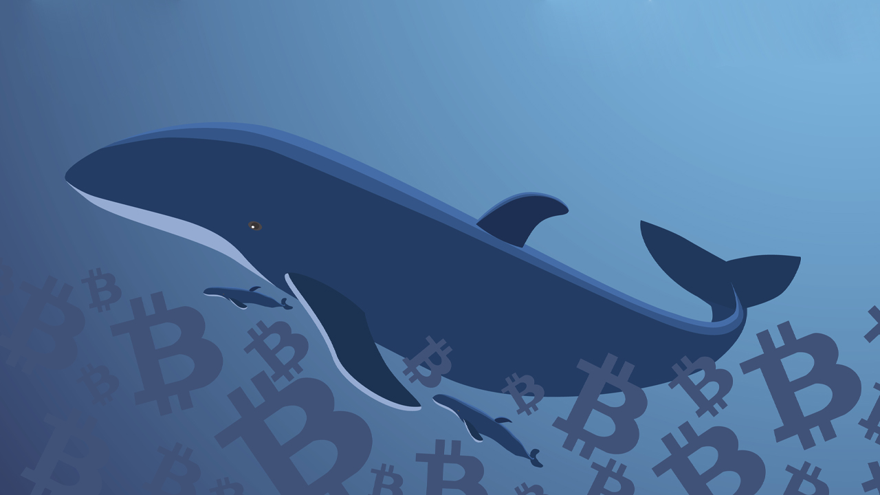 Dormant Bitcoin Wallet Linked to Mt Gox Saga Moves Million for the First Time Since 2013 – Bitcoin News Dormant Bitcoin Wallet Linked to Mt Gox Saga Moves Million for the First Time Since 2013 – Bitcoin News
