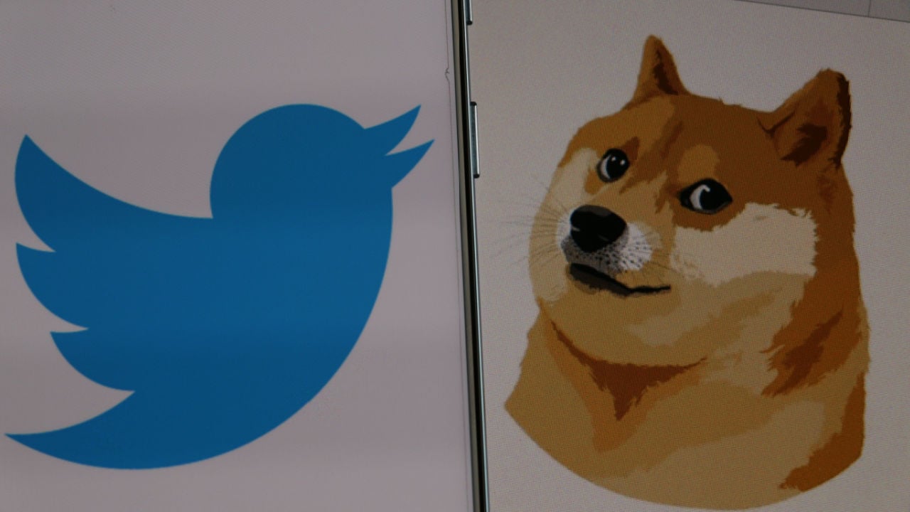 Biggest Movers: SHIB, DOGE Near Multi-Month Lows, as Musk Finds New Twitter CEO – Market Updates Bitcoin News