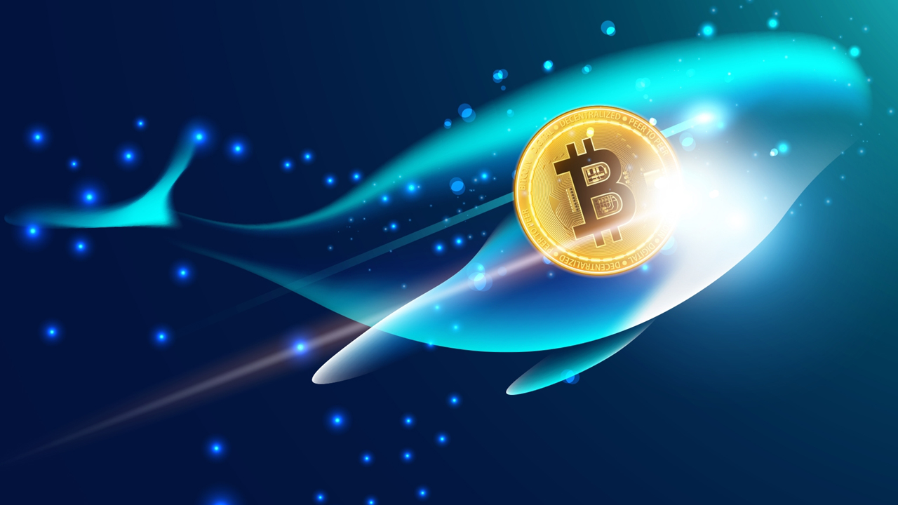 Sleeping Bitcoin Wallet Awakens: .7M Worth of BTC Suddenly Moves After Close to 12 Years of Dormancy – Bitcoin News