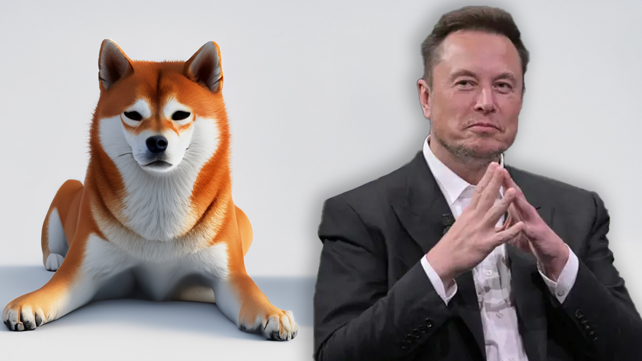Tesla's Elon Musk Denies Dogecoin Whale Allegations, Attorney ...