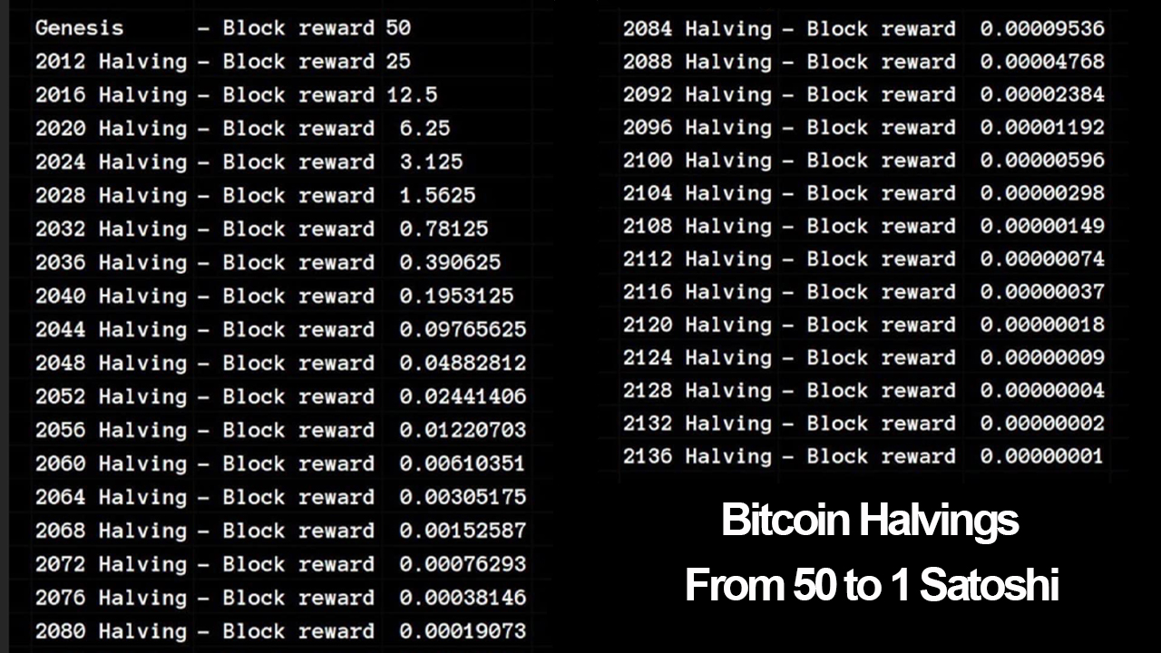 Charting Bitcoin's Predictable Course: A Comprehensive Review of the Next 29 Reward Halvings