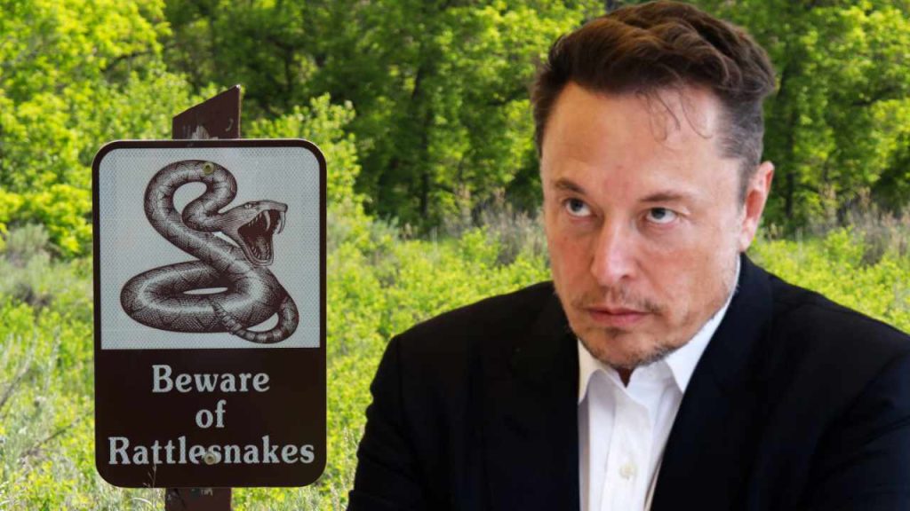 Coinstats Elon Musk Sparks Controversy With Twitter Rat 8523