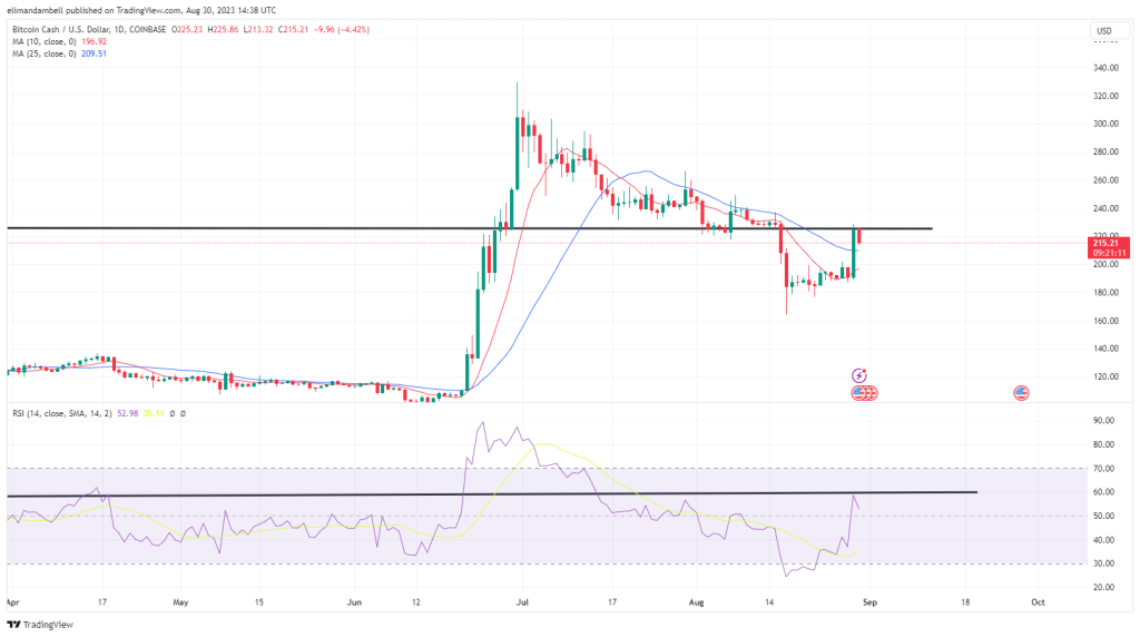 Biggest Movers: Bitcoin Cash Back Above $200, TON Surges 16% Higher