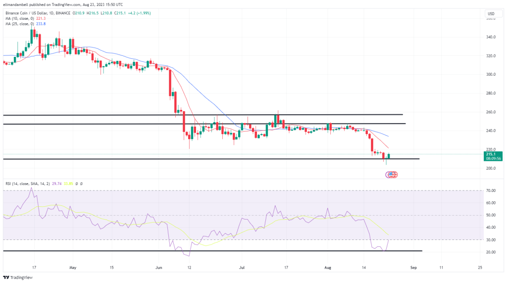Biggest Movers: BNB Rebounds From 1-Year Low, SHIB Surges Higher