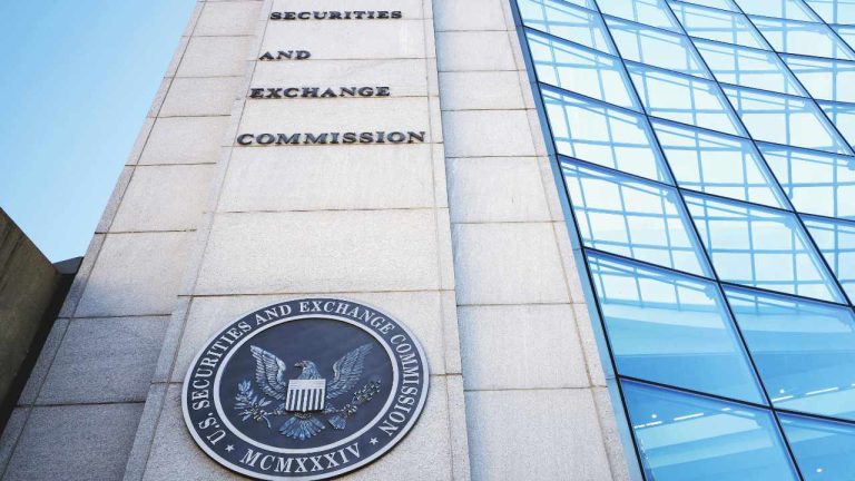 Former SEC Official Warns Crypto Regulatory Onslaught 'Will Never End'