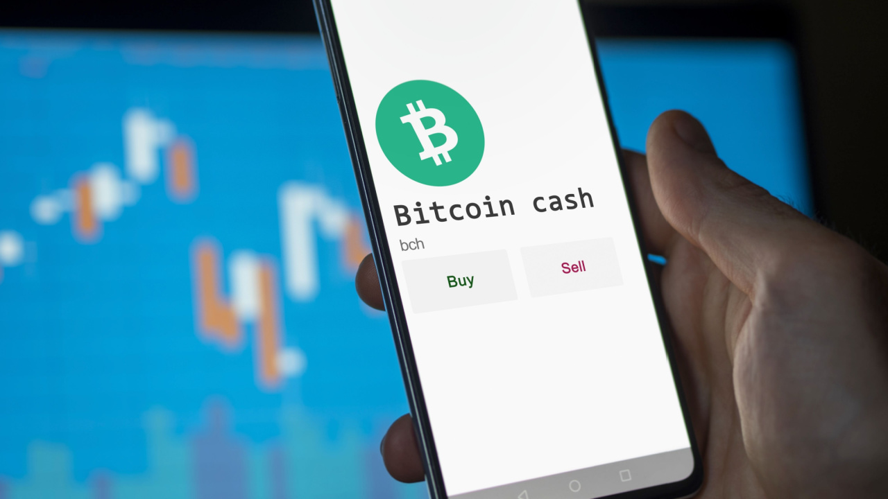 Biggest Movers: Bitcoin Cash Back Above $200, TON Surges 16% Higher –  Market Updates Bitcoin News