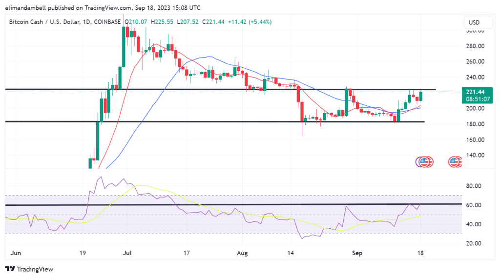 Biggest Movers: SOL Nears $20, BCH 5% Higher on Monday