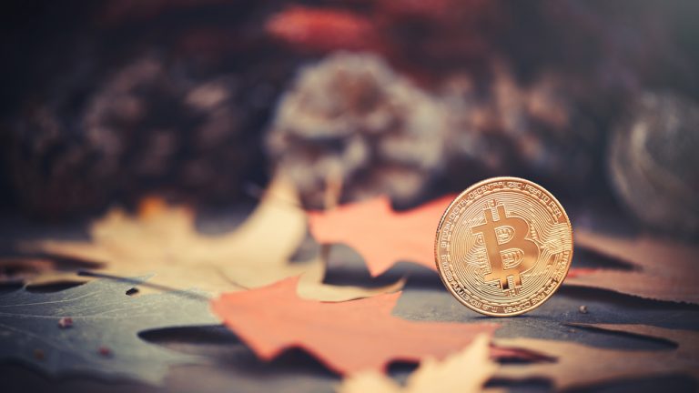 November Marks Rare Awakening of 2 Vintage 2010 Bitcoin Wallets Valued at .4 Million