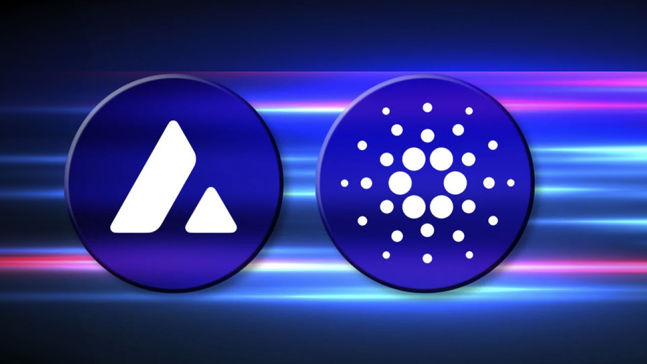 Cardano Y Avalanche Se Disparan Superando A Las 20 Criptomonedas 