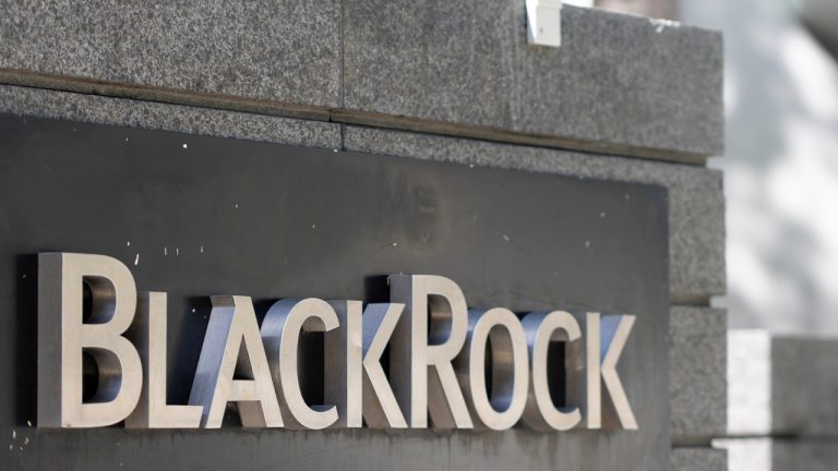 Blackrock's Bitcoin ETF Attracts Diverse Investors, Secures 25,067 BTC in Holdings 