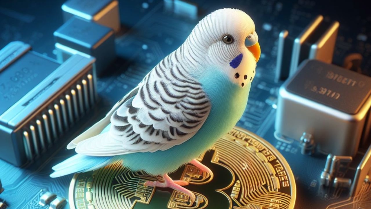 Ordinals Market Registers Record Sale: Bitcoin Budgie Changes Hands for Over .1 Million in BTC – Blockchain Bitcoin News