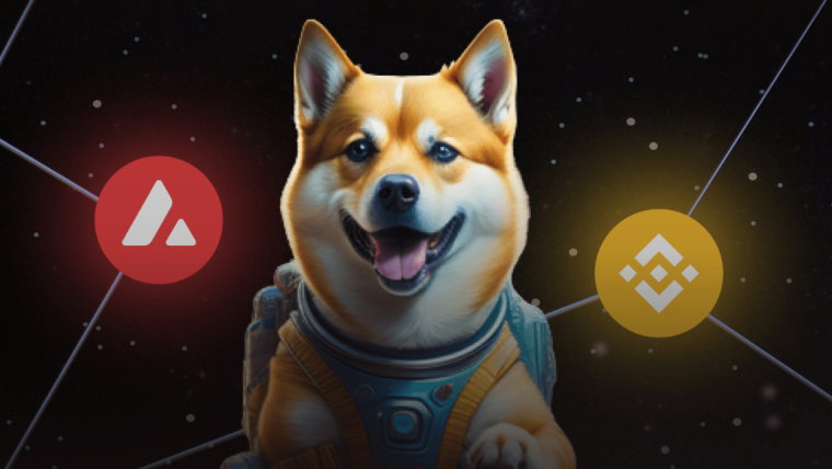 New Meme Coin Dogeverse Raises $13M in ICO – the Next Dogecoin?