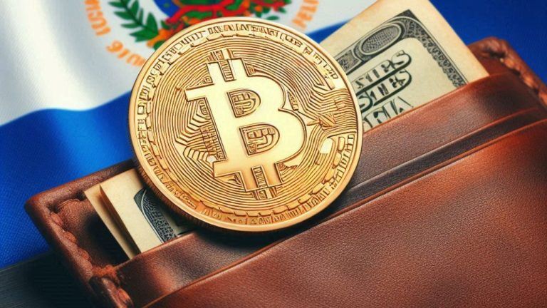 Wasabi Wallet Lead Developer: ‘Bitcoin Developers Are Failing El Salvador’