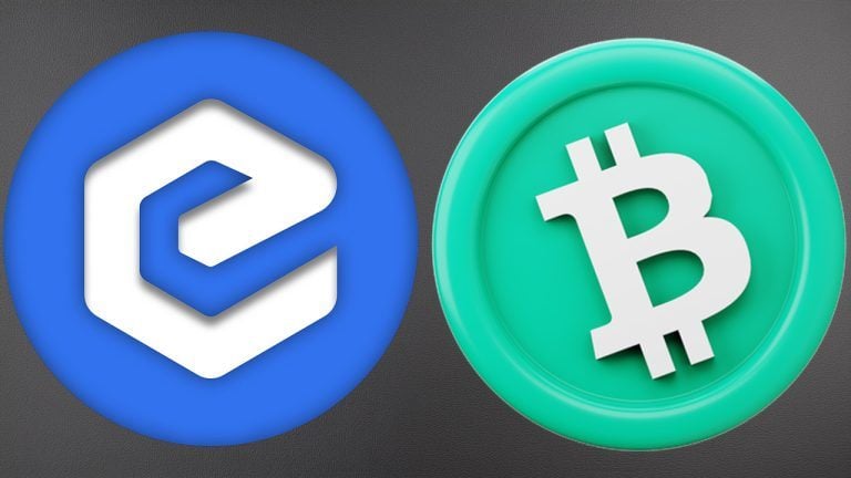 Crypto’s Top Gainers: Ecash and Bitcoin Cash Show Strong Weekly Rises