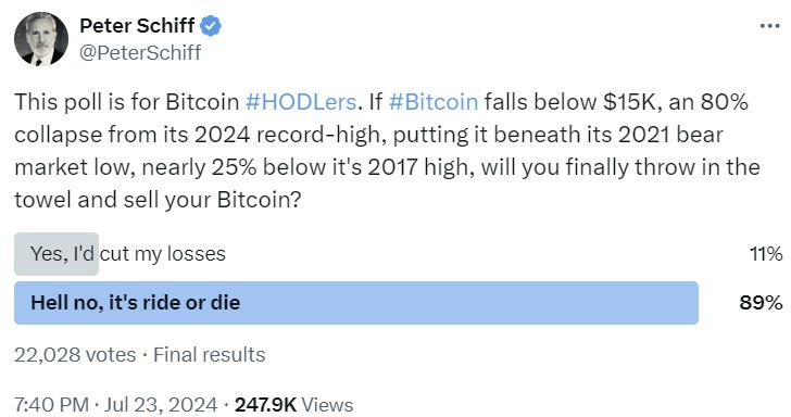 Bitcoin Investors Won't Sell BTC Even if Price Drops to $3K, Peter Schiff's Poll Shows