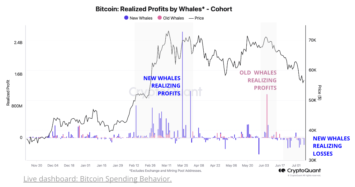 Relatório Cryptoquant: Baleias Bitcoin compram agressivamente quando o preço atinge o mínimo de 4 meses