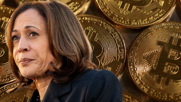 Kamala Harris' Alleged 'Crypto Reset' Missing From Democratic Agenda