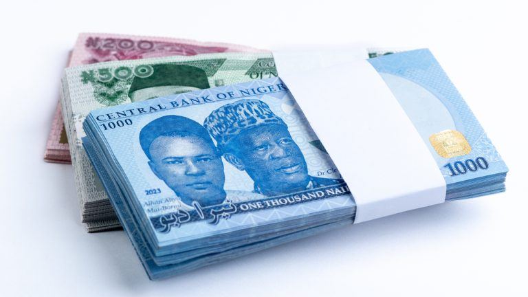 Nigerian Firms Forecast Further Naira Depreciation