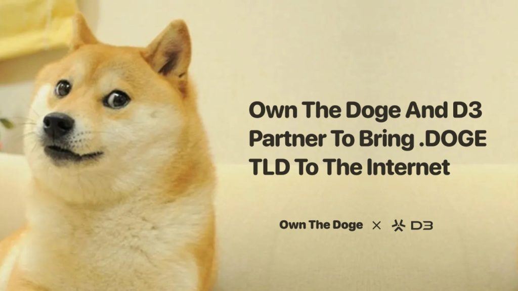 Own The Doge Partners With D3 To Apply For The .doge Top-Level Domain ...