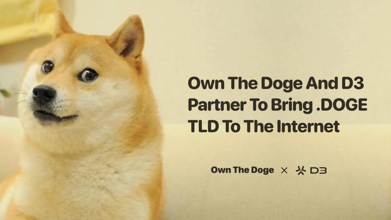 Own The Doge Partners With D3 To Apply For The .doge Top-Level Domain Own The Doge Partners With D3 To Apply For The .doge Top-Level Domain