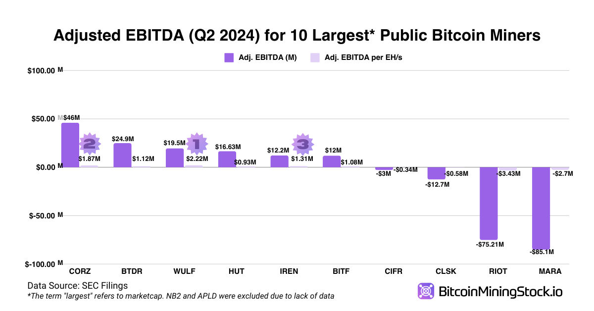 TeraWulf: Overview of a Rising Bitcoin Miner in 2024 TeraWulf: Overview of a Rising Bitcoin Miner in 2024