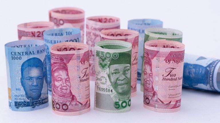 Nigerian Currency 'Most Competitive successful  20 Years,' Says World Bank