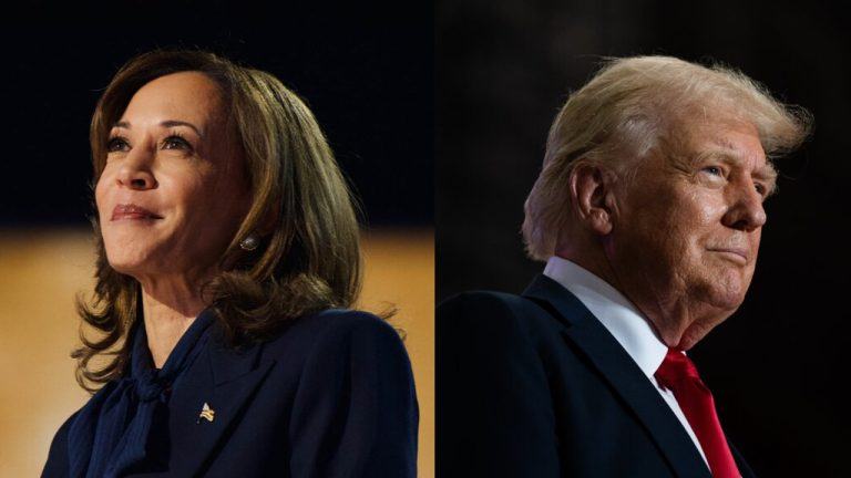  Trump Seizes Big Lead Over Harris in White House Race